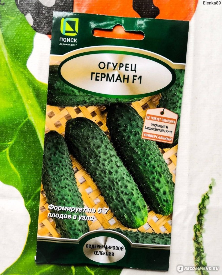 Огурцы Московский агрохолдинг