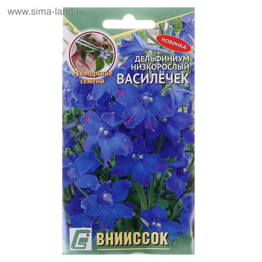 Дельфиниум низкорослый Василечек