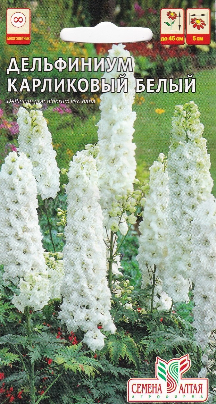Дельфиниум многолетний белый