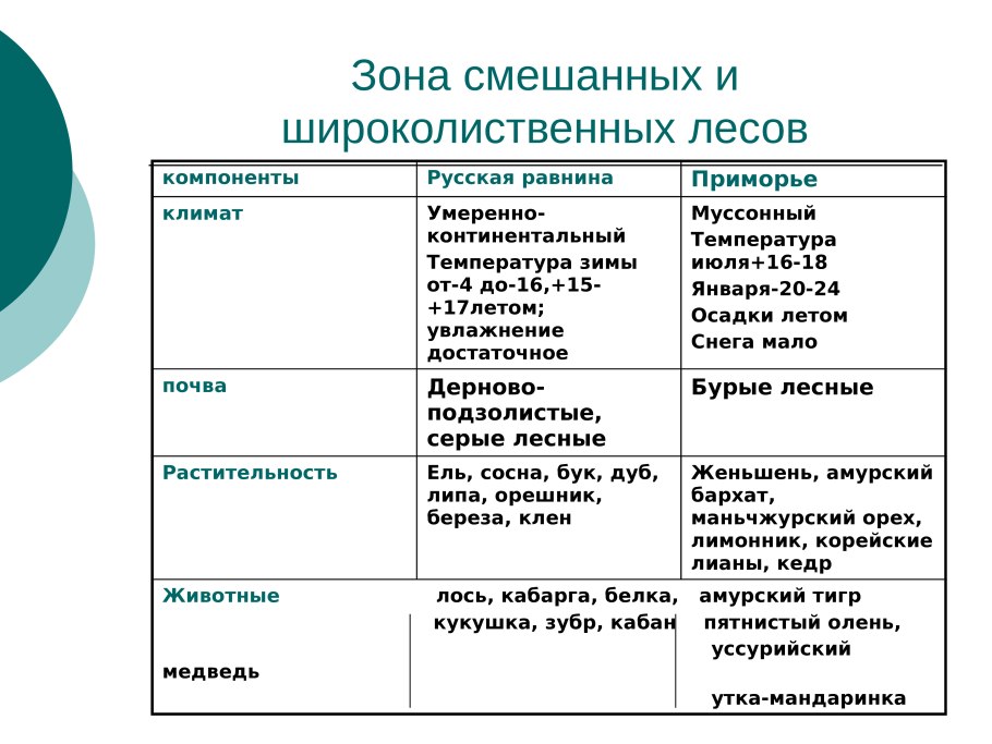 Таблица смешанных и широколиственных лесов