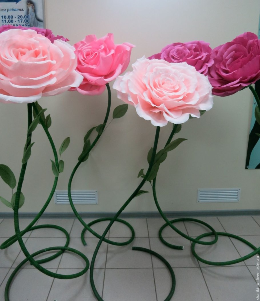 Лилия измерение