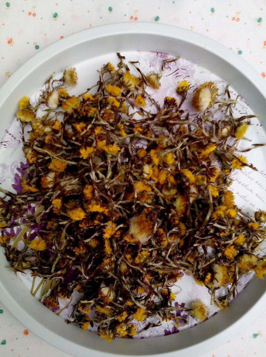 Мать и мачехи листья ЛРС