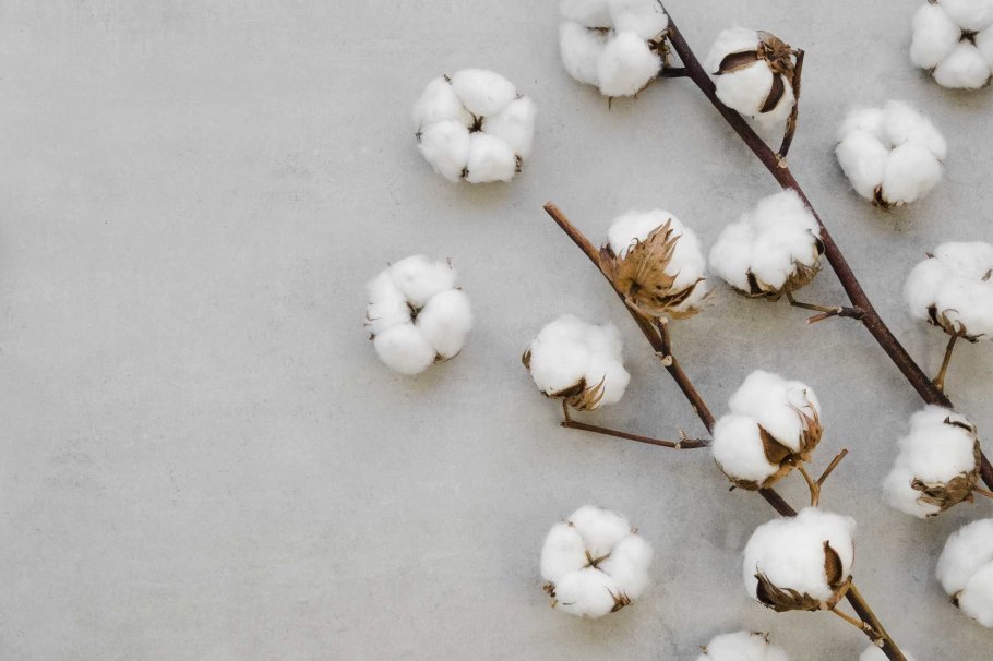 Мак Акация хлопчатник