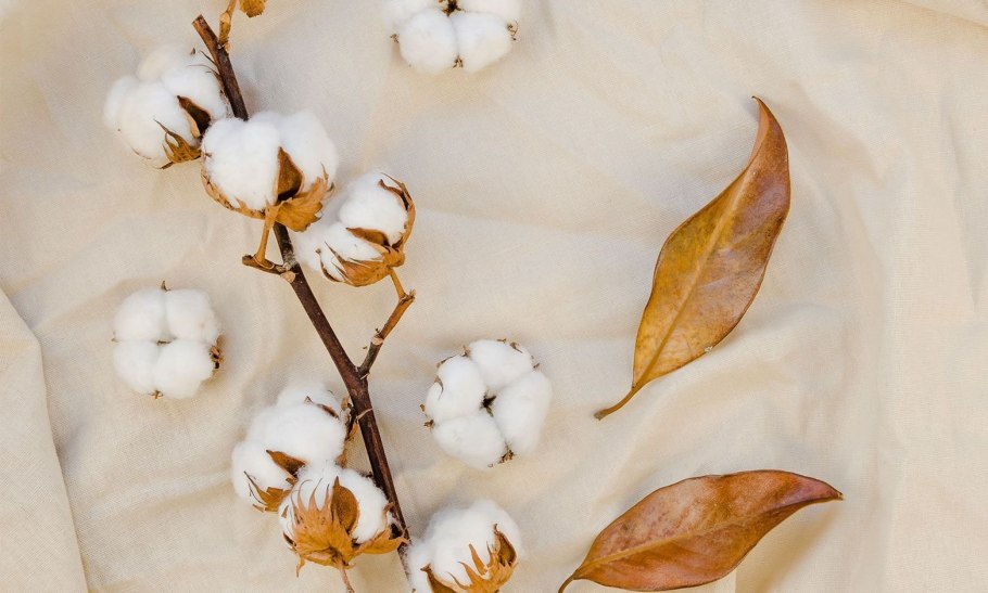 Хлопок фон