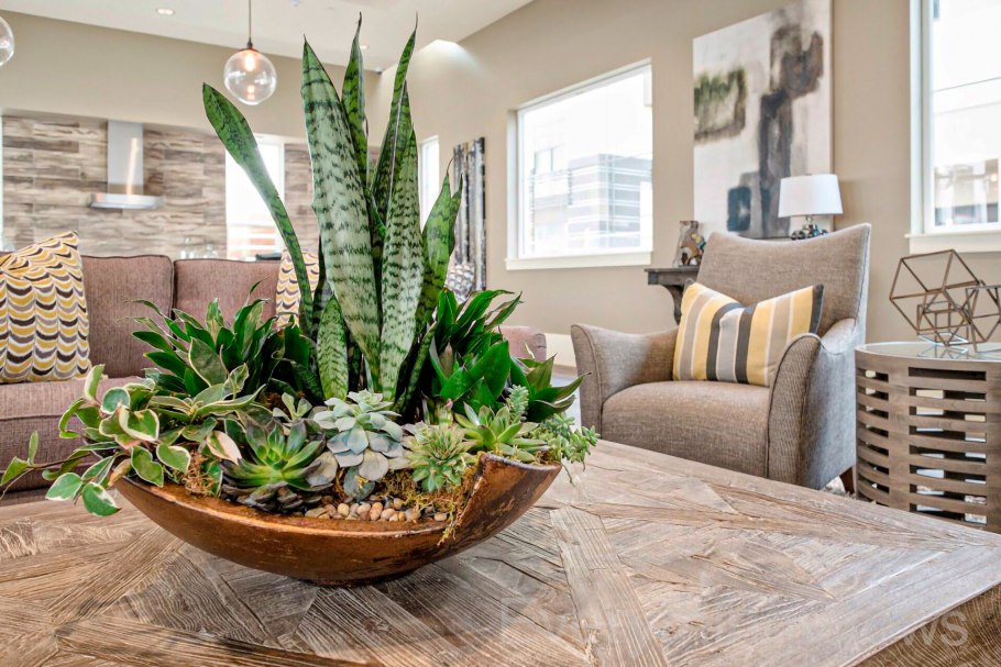 Комната цветомана