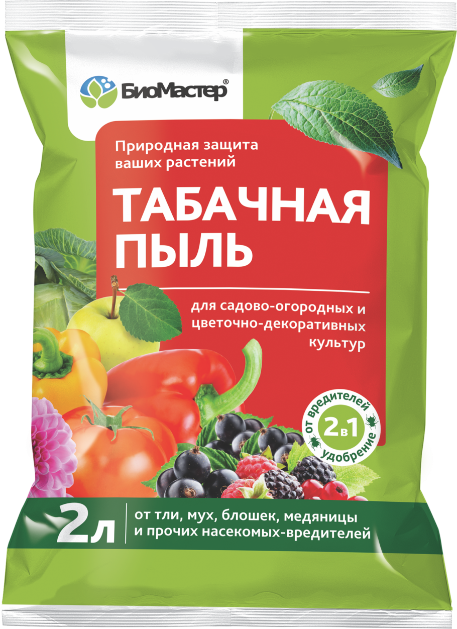 Сорт табака Nicotiana