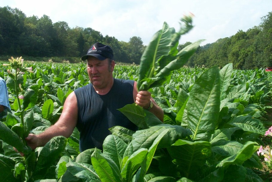 Табак Трапезонд 182