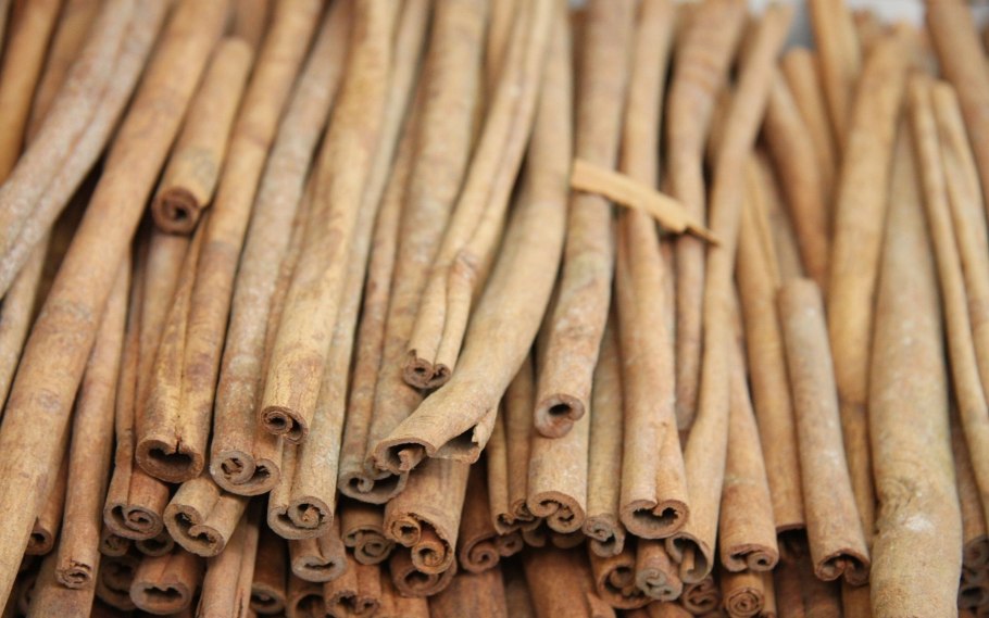 Коричное дерево