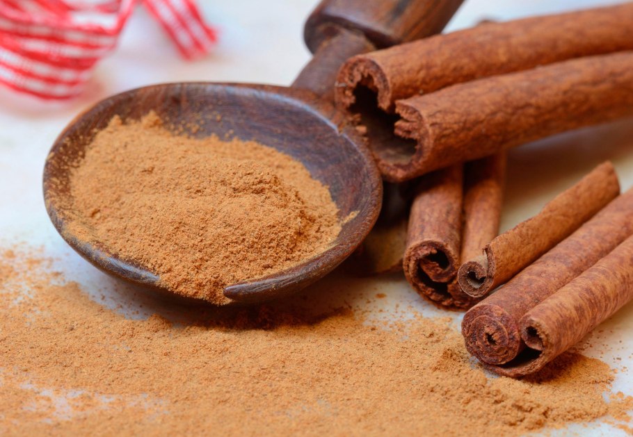 Cinnamomum zeylanicum