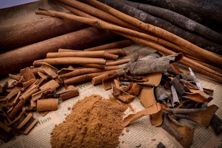 Хинное дерево (цинхона)