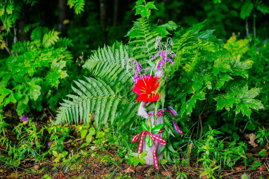 Цветок папоротника