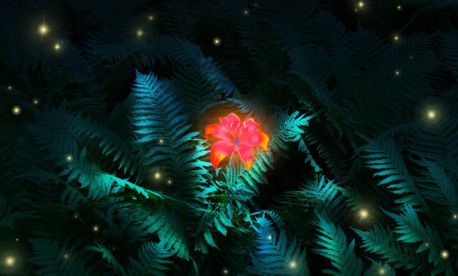 Папоротник цветет на Ивана Купала