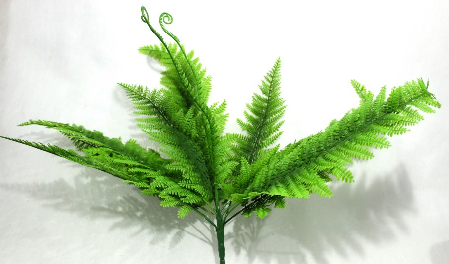 Цветение папоротника на Ивана Купала