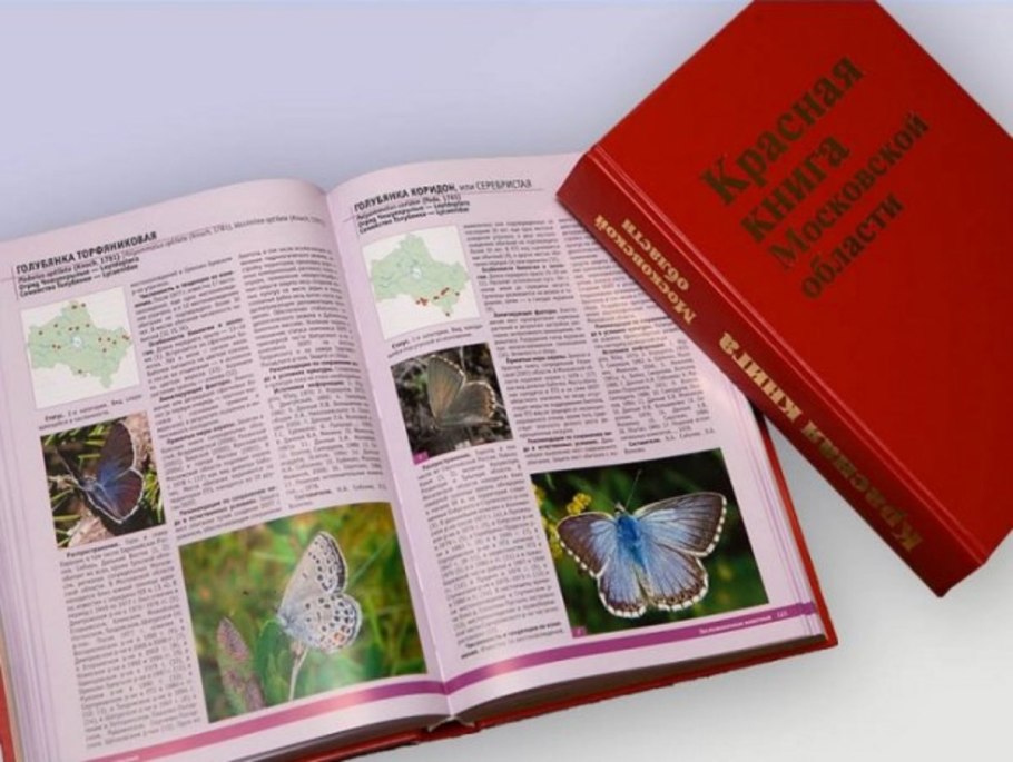 Растения занесённые в красную книгу России