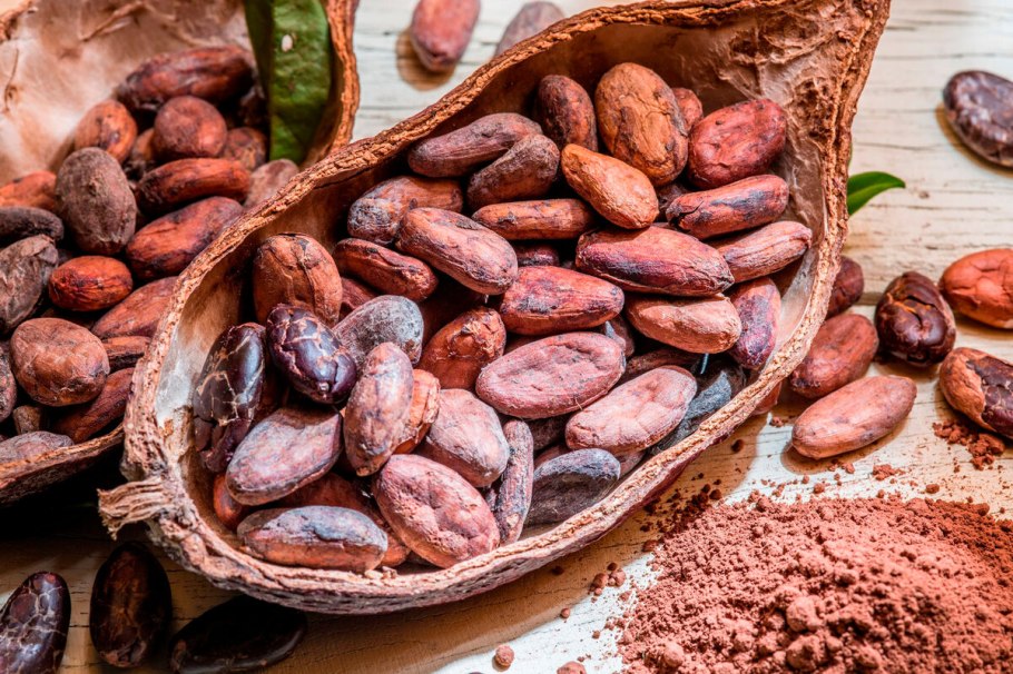 Сорт Криолло какао бобов