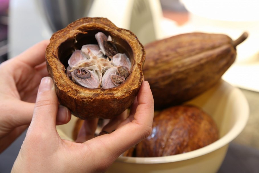 Какао плод внутри