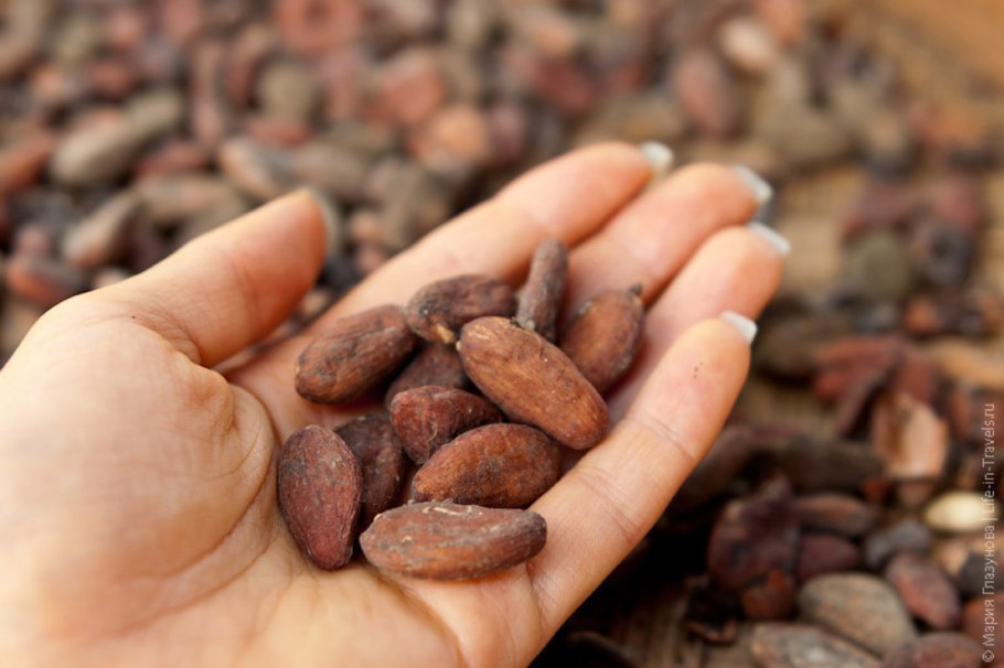Зерна какао