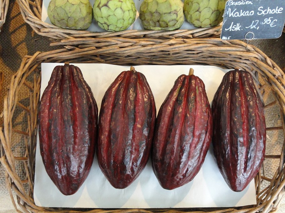 Какао Бобы это овощ или фрукт