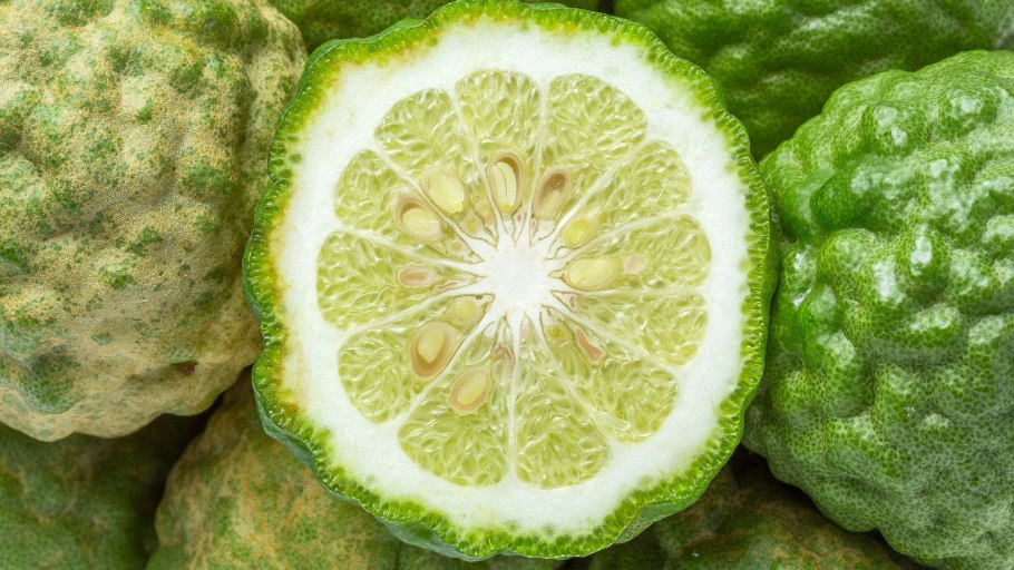 Садовый бергамот цитрусовый аромат