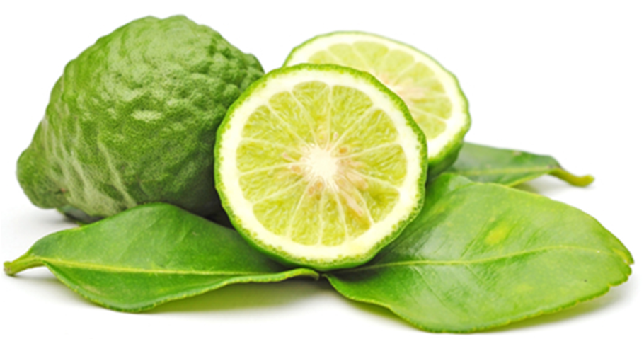 Померанец бергамот