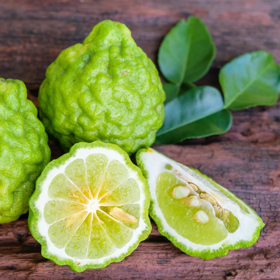 Бергамот растение