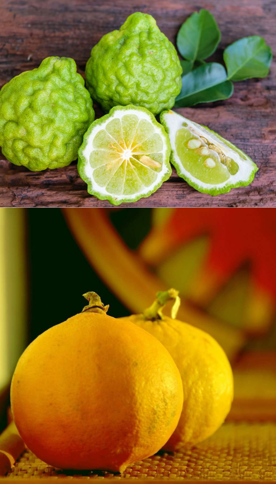 Цитрон зеленые плоды