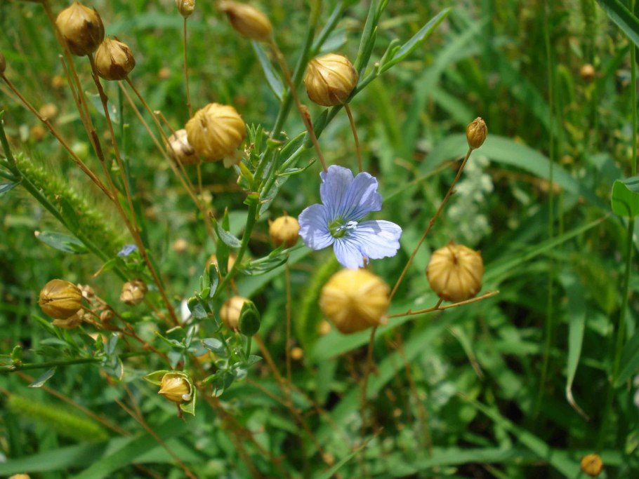Фотофон мешковина