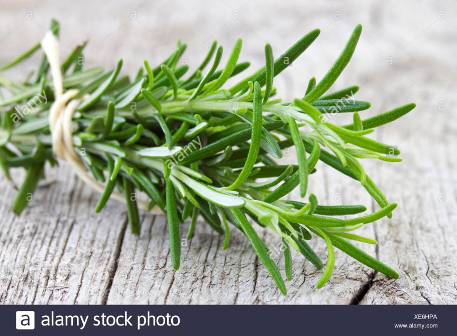 Кориандр и розмарин