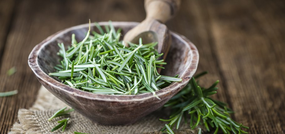 Розмарин Крымский веточки