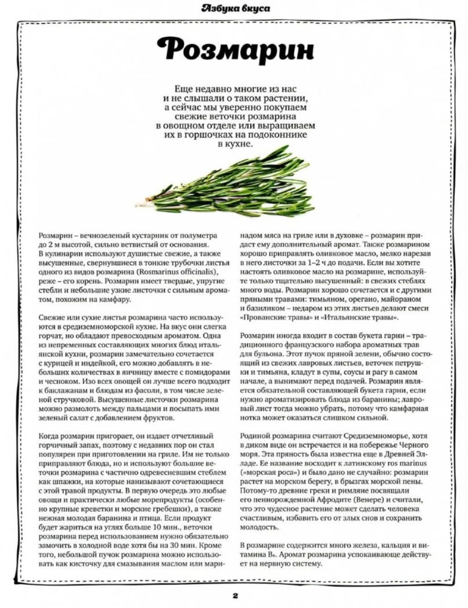 Розмарин Родина