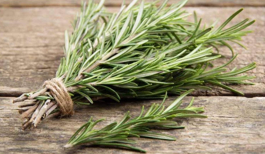 Розмарин ползучий