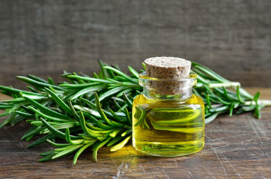 Розмарин Ореховый