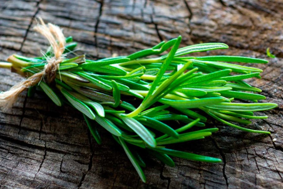 Пряные травы на огороде перечень