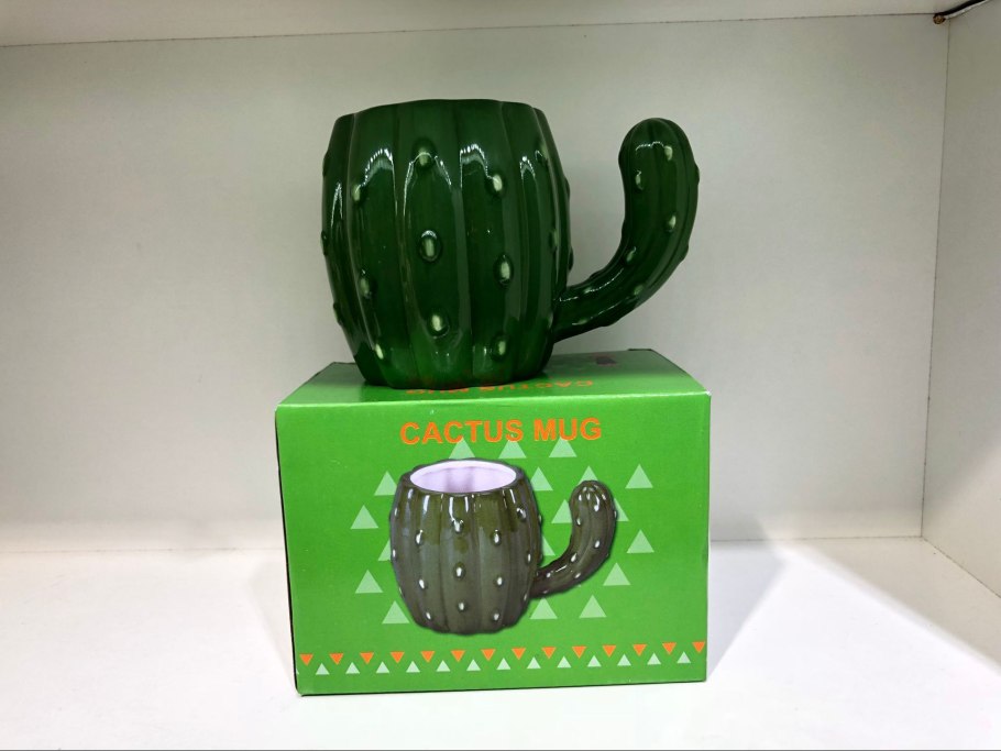 Цветущий Кактус в горшке