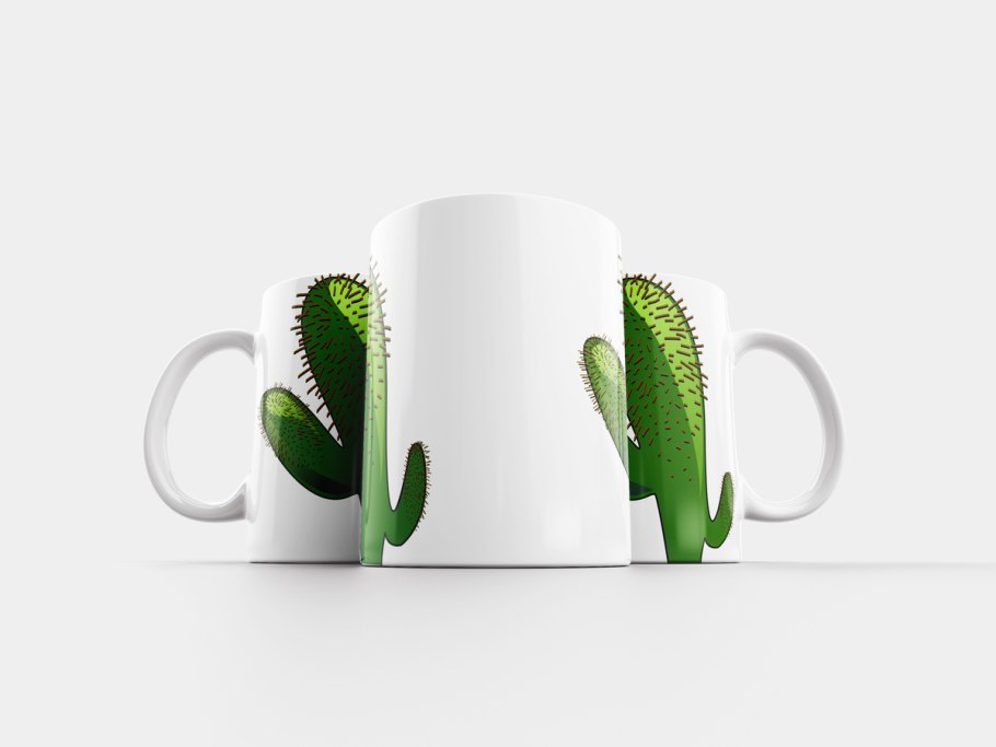 Необычные аксессуары с кактусами