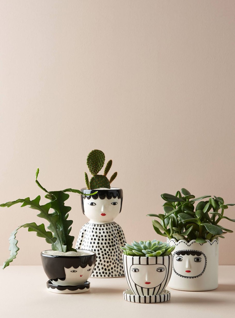 Обои на рабочий стол Кружка Кактус