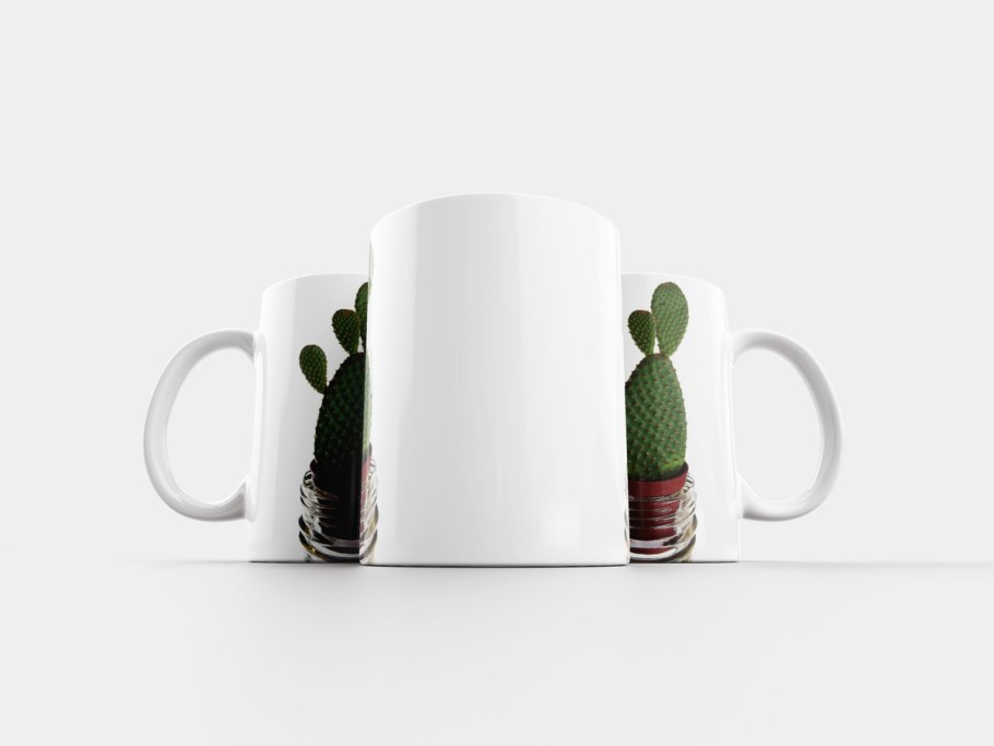 Суккуленты в чашке