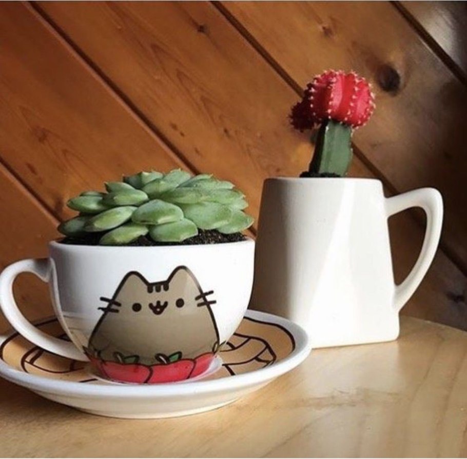 Wanna hug Кактус