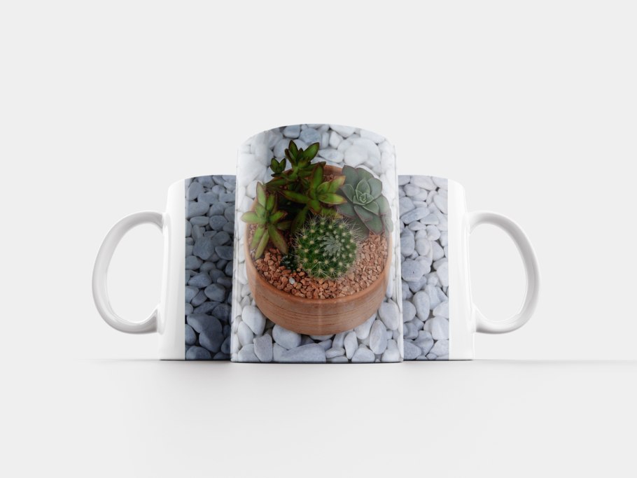 Кактус в чашке