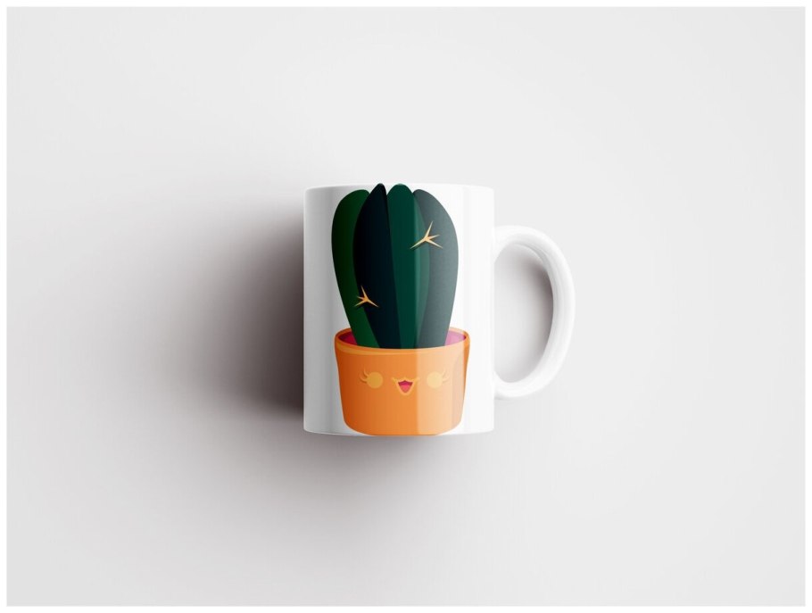 Суккуленты в чашке