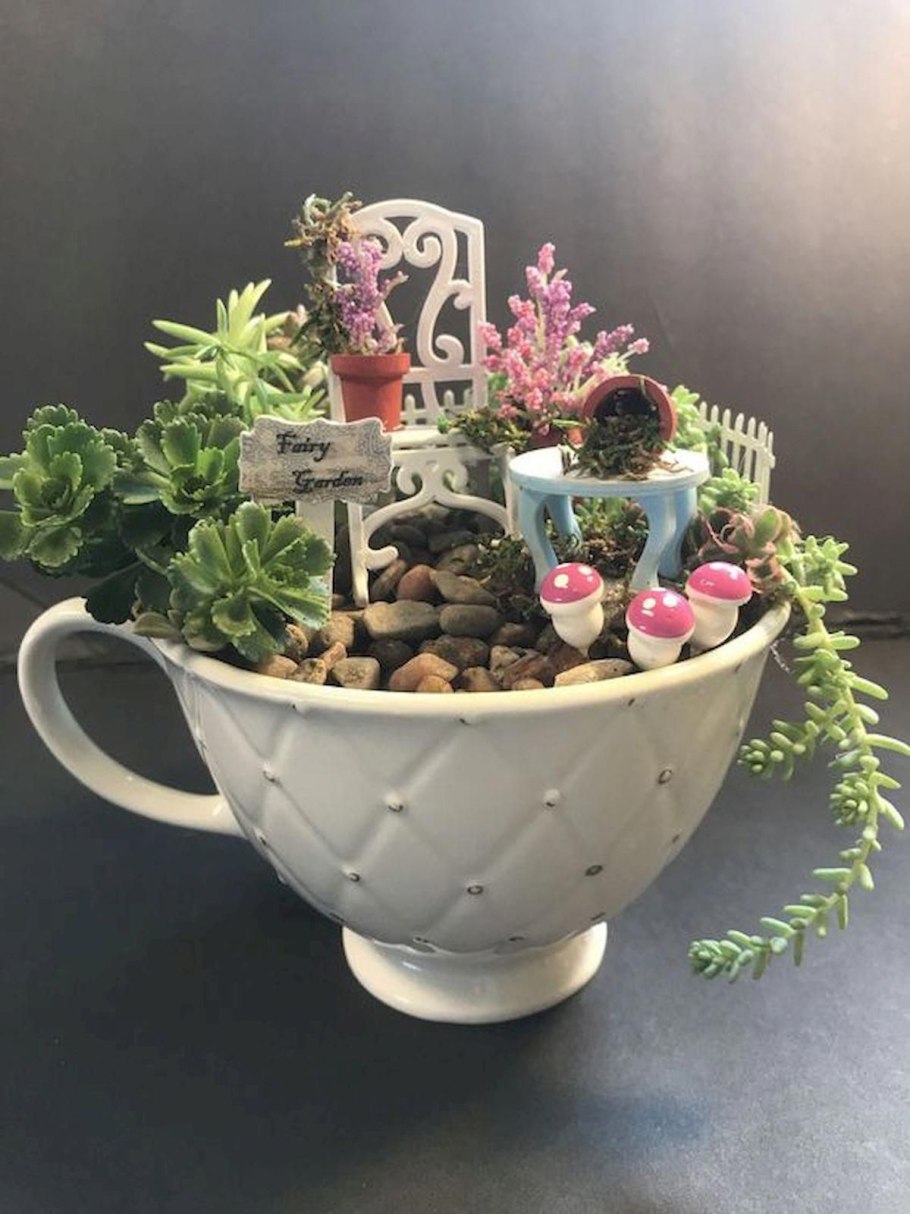 Красивый Цветущий Кактус в керамике