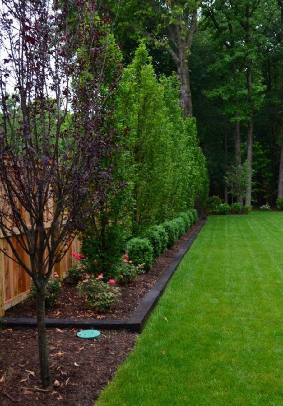 Теневой миксбордер вдоль забора