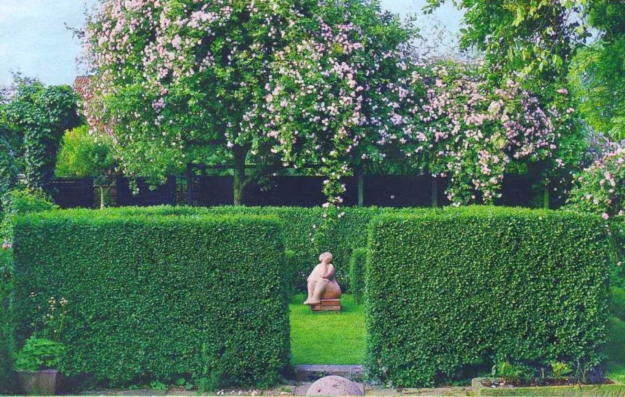 Английский сад зеленая изгородь