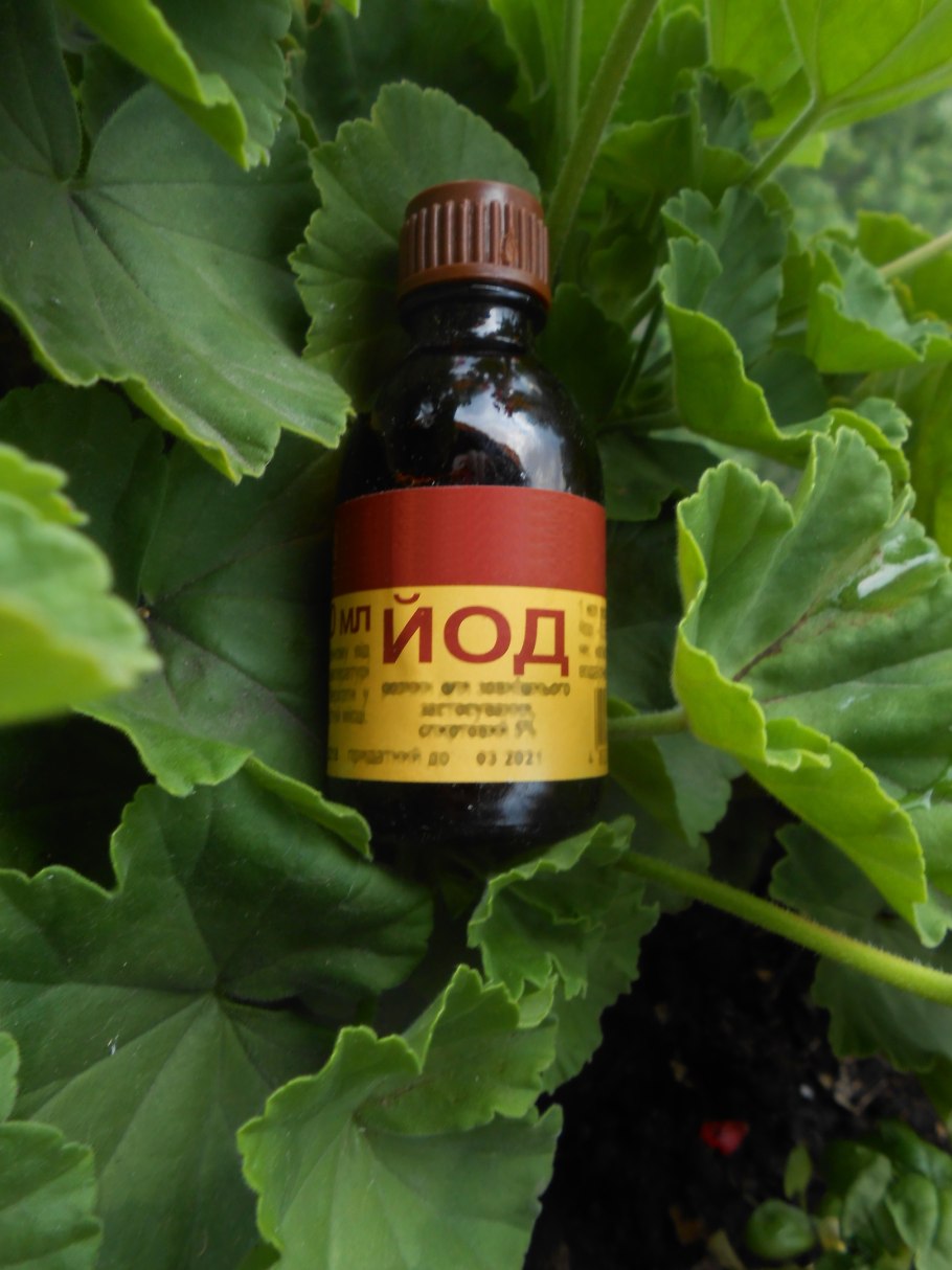 Йодное растение