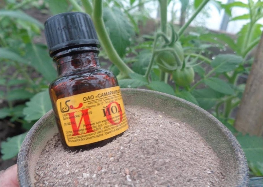 Подкармливание рассады томатов йодом