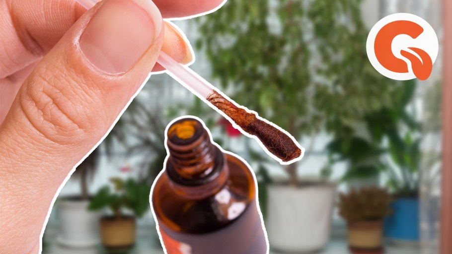 Йод томаты фитофтора