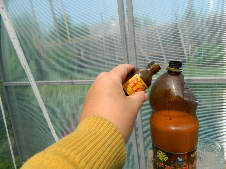 Антисептические средства йод зеленка