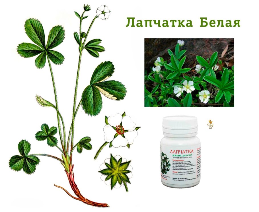 Волшебный йод так называют раствор йода с чесноком