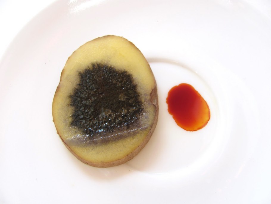 Крючки Gamakatsu Hook LS-2210b