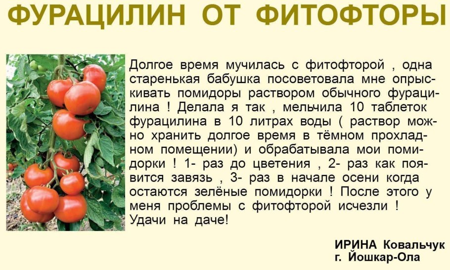 Продукты богатые фолиевой кислотой и витамином в9